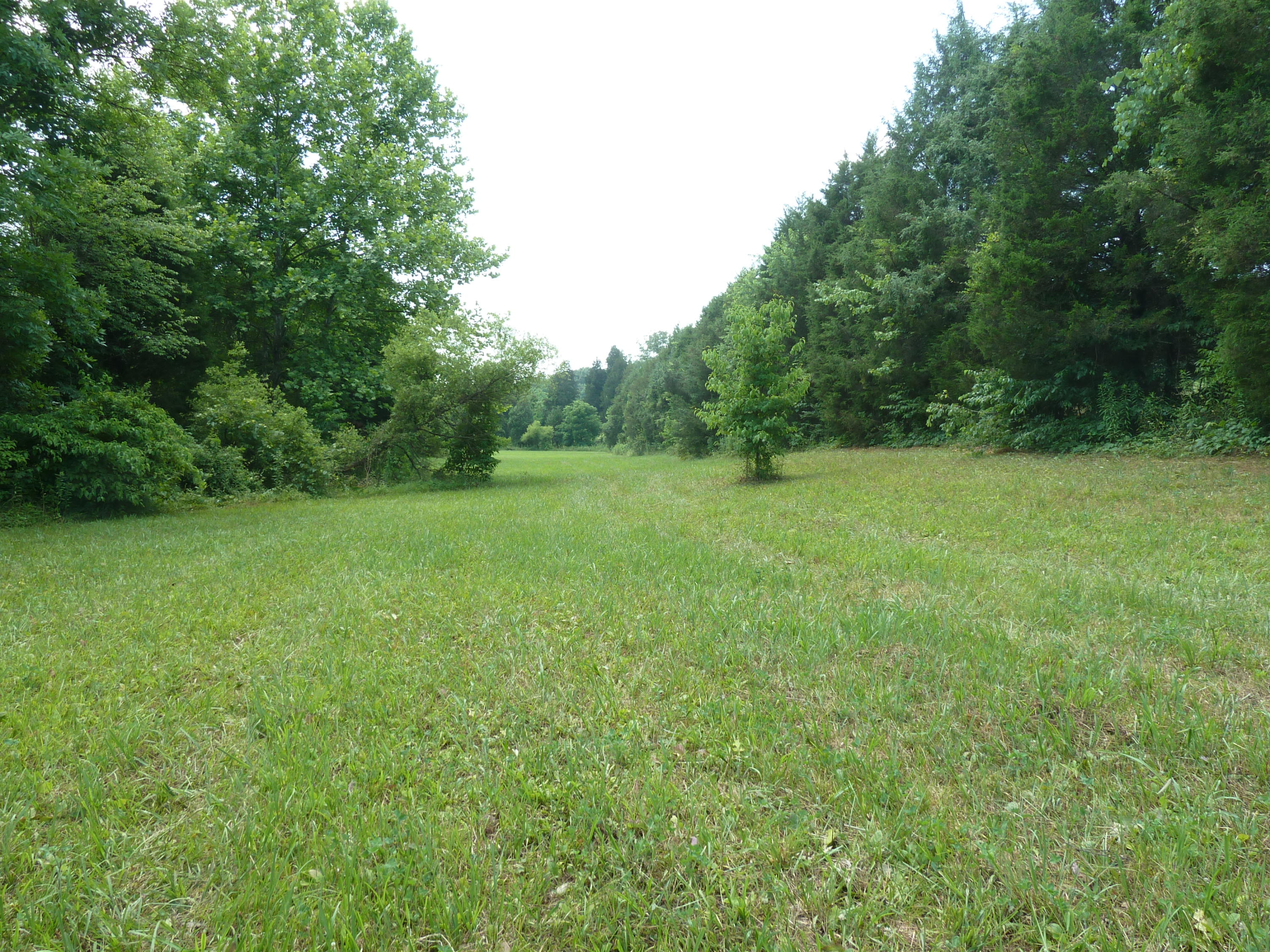 5103 Roberts Road Corryton, TN 37721 - Photo 12 of 16 aRoberts Rd, 5103 6-14-11 090 (7)