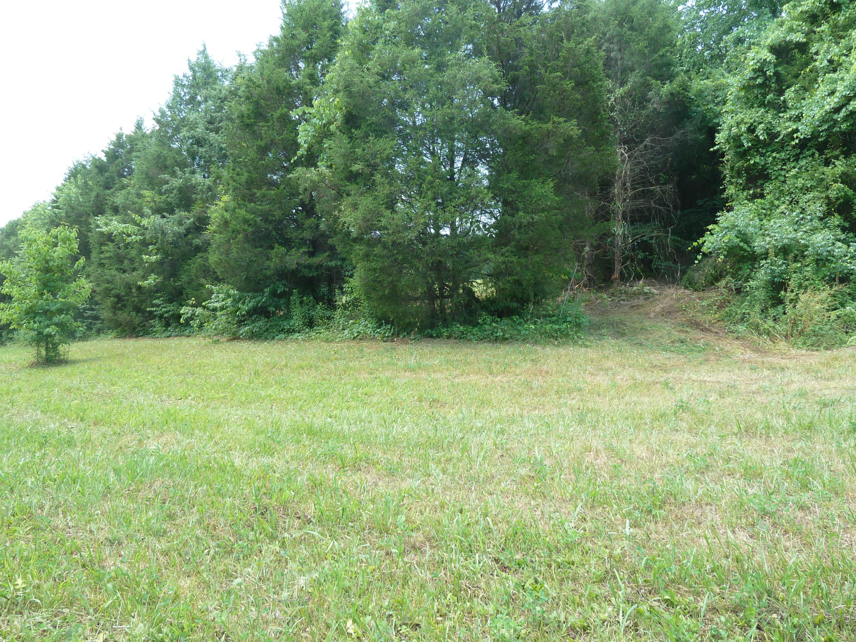5103 Roberts Road Corryton, TN 37721 - Photo 13 of 16 aRoberts Rd, 5103 6-14-11 090 (8)