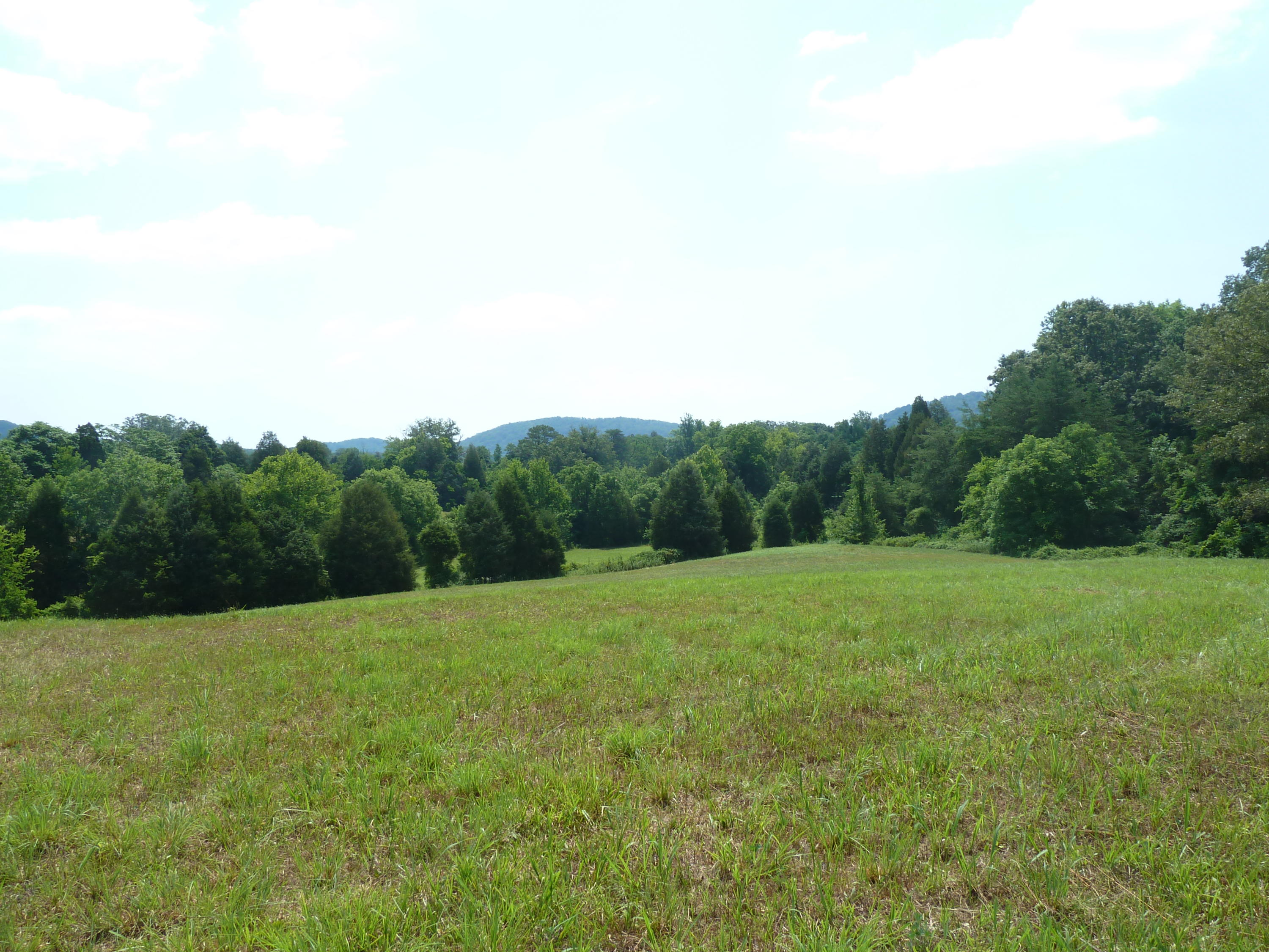 5103 Roberts Road Corryton, TN 37721 - Photo 14 of 16 aRoberts Rd, 5103 6-14-11 090 (11)