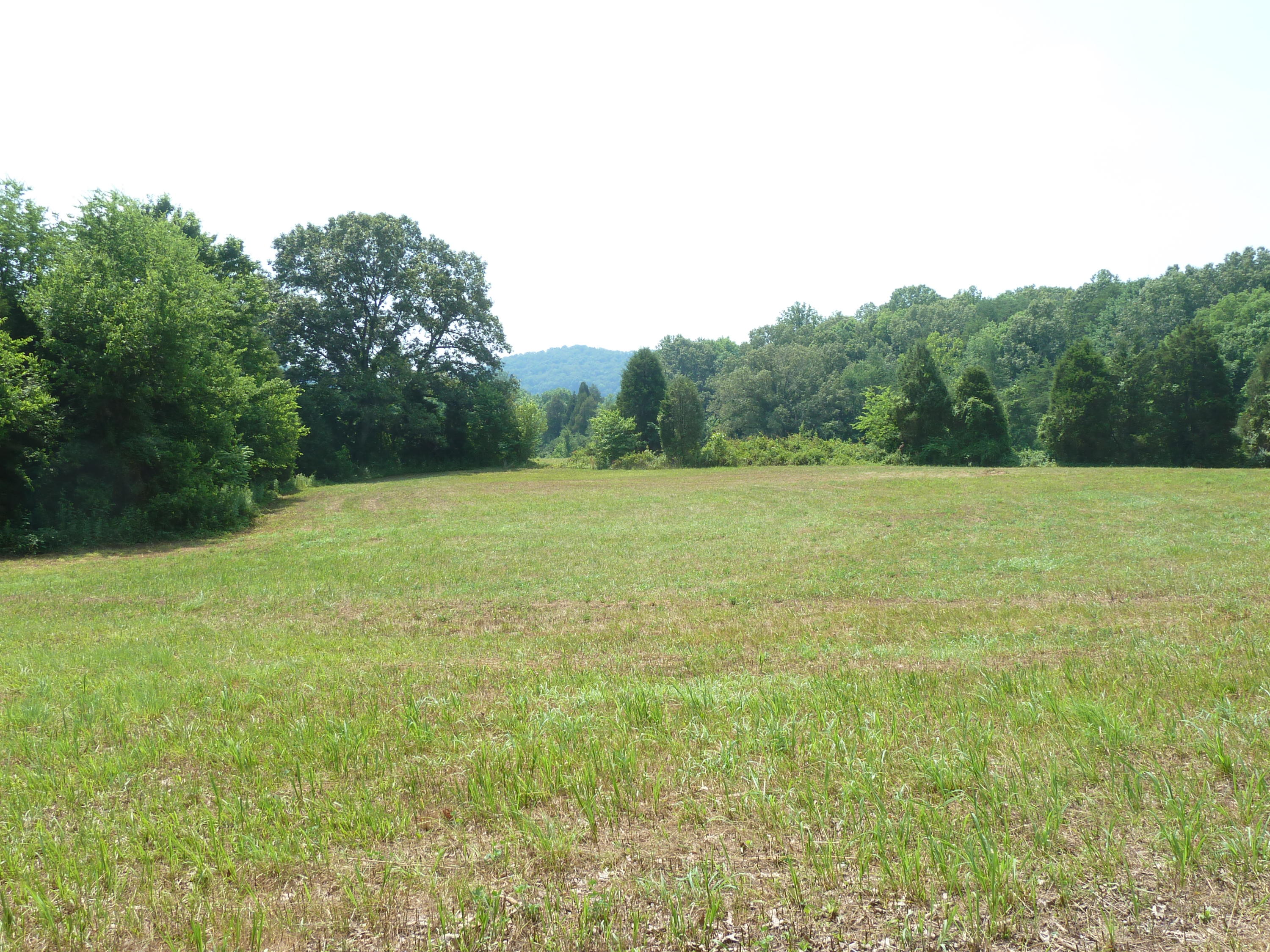 5103 Roberts Road Corryton, TN 37721 - Photo 15 of 16 aRoberts Rd, 5103 6-14-11 090 (12)
