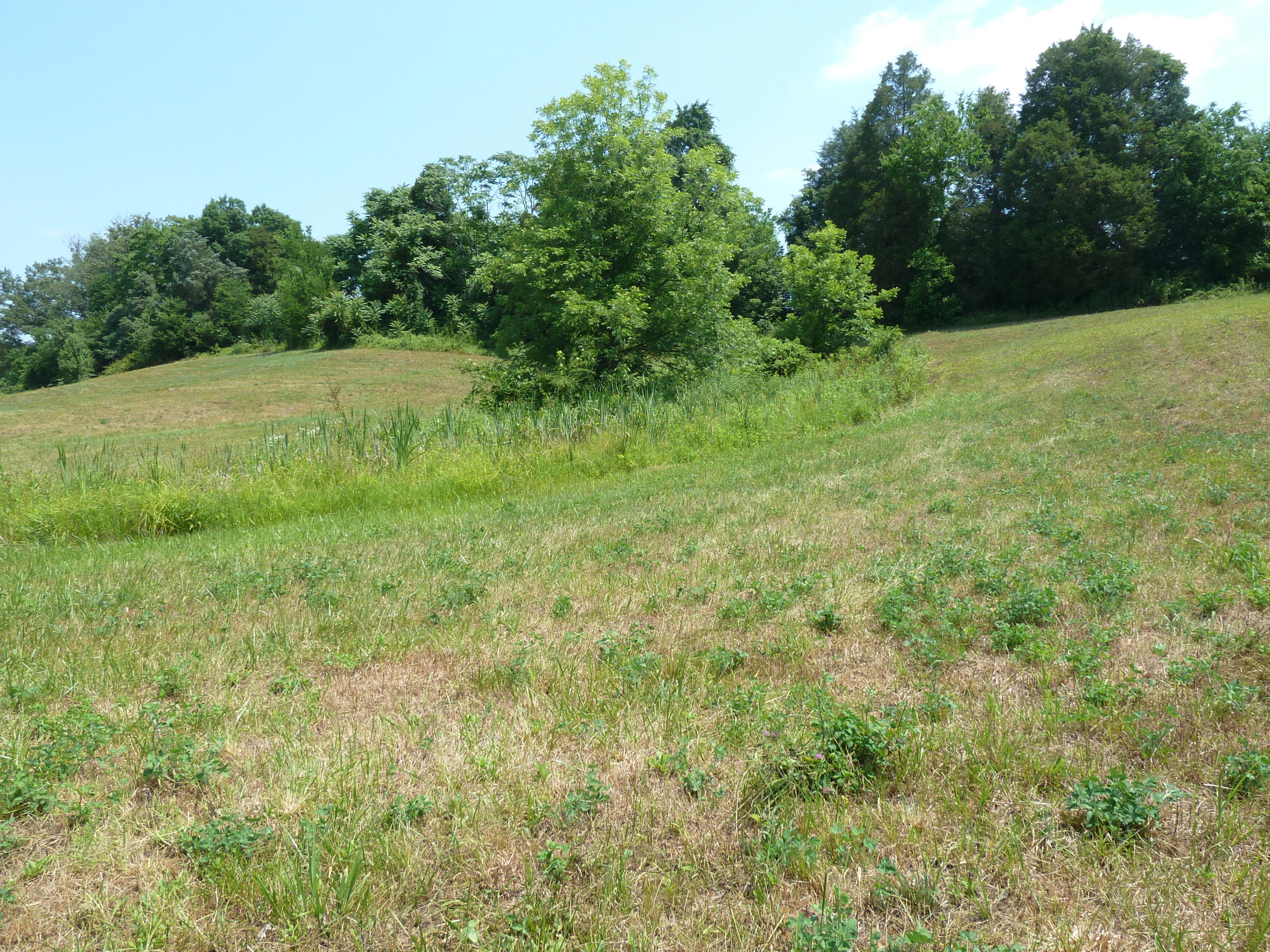 5103 Roberts Road Corryton, TN 37721 - Photo 16 of 16 aRoberts Rd, 5103 6-14-11 090 (14)