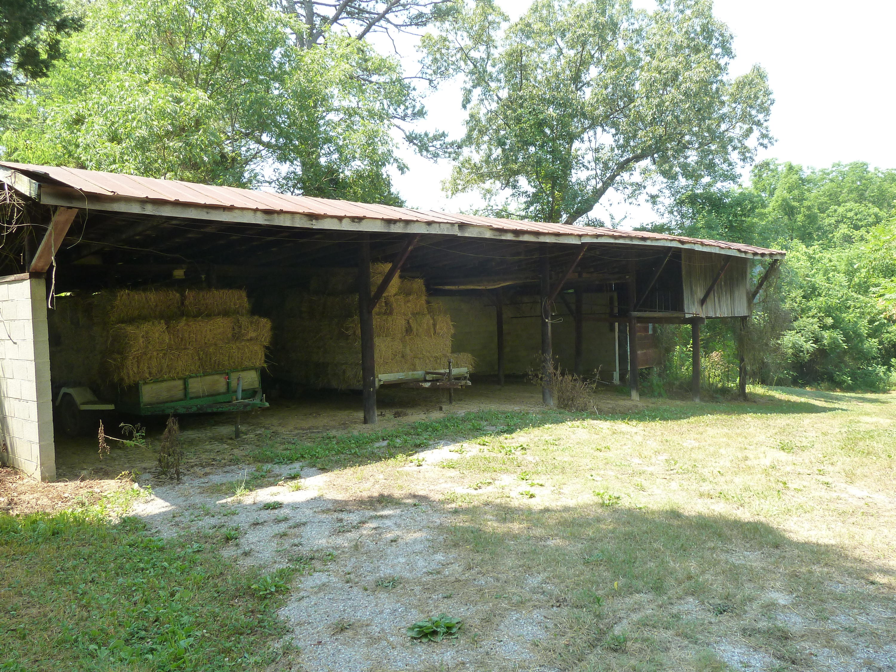 5103 Roberts Road Corryton, TN 37721 - Photo 3 of 16 ashedRoberts Rd, 5103 6-14-11 090 (18)