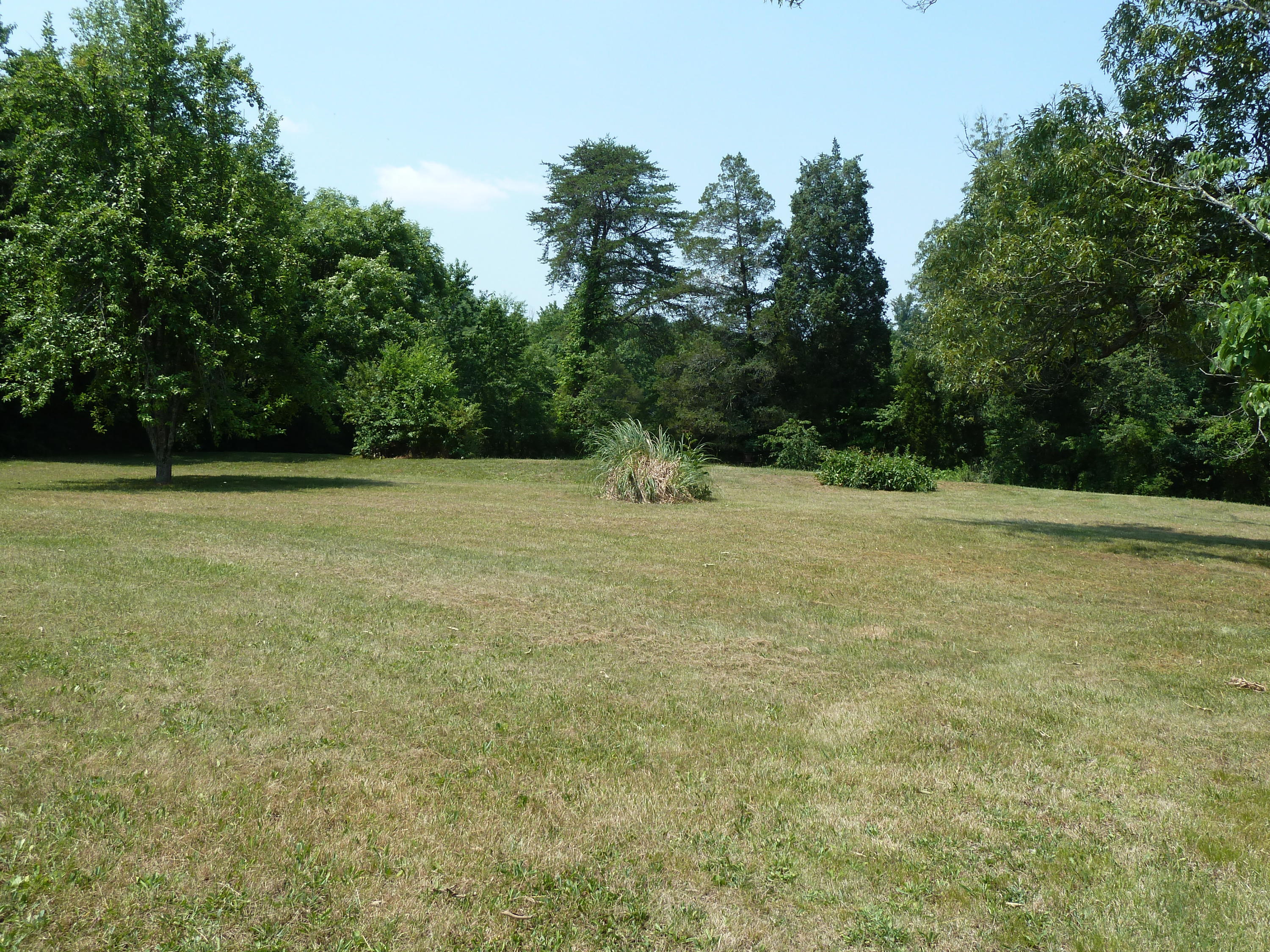 5103 Roberts Road Corryton, TN 37721 - Photo 5 of 16 Roberts Rd, 5103 6-14-11 090 (1)