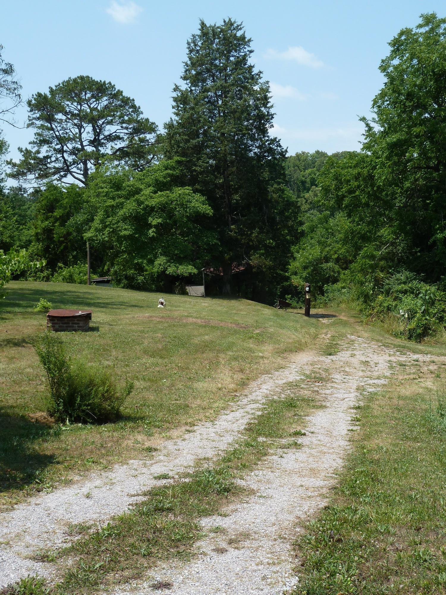 5103 Roberts Road Corryton, TN 37721 - Photo 10 of 16 aRoberts Rd, 5103 6-14-11 090 (4)