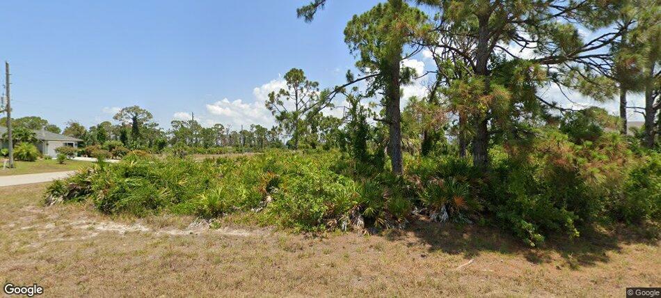 a view of a yard with plants and large trees