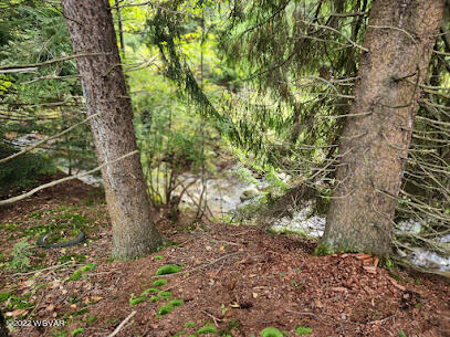 Shrader Creek Road Shunk, PA 17768 - Photo 15 of 18 Gallery Image 15