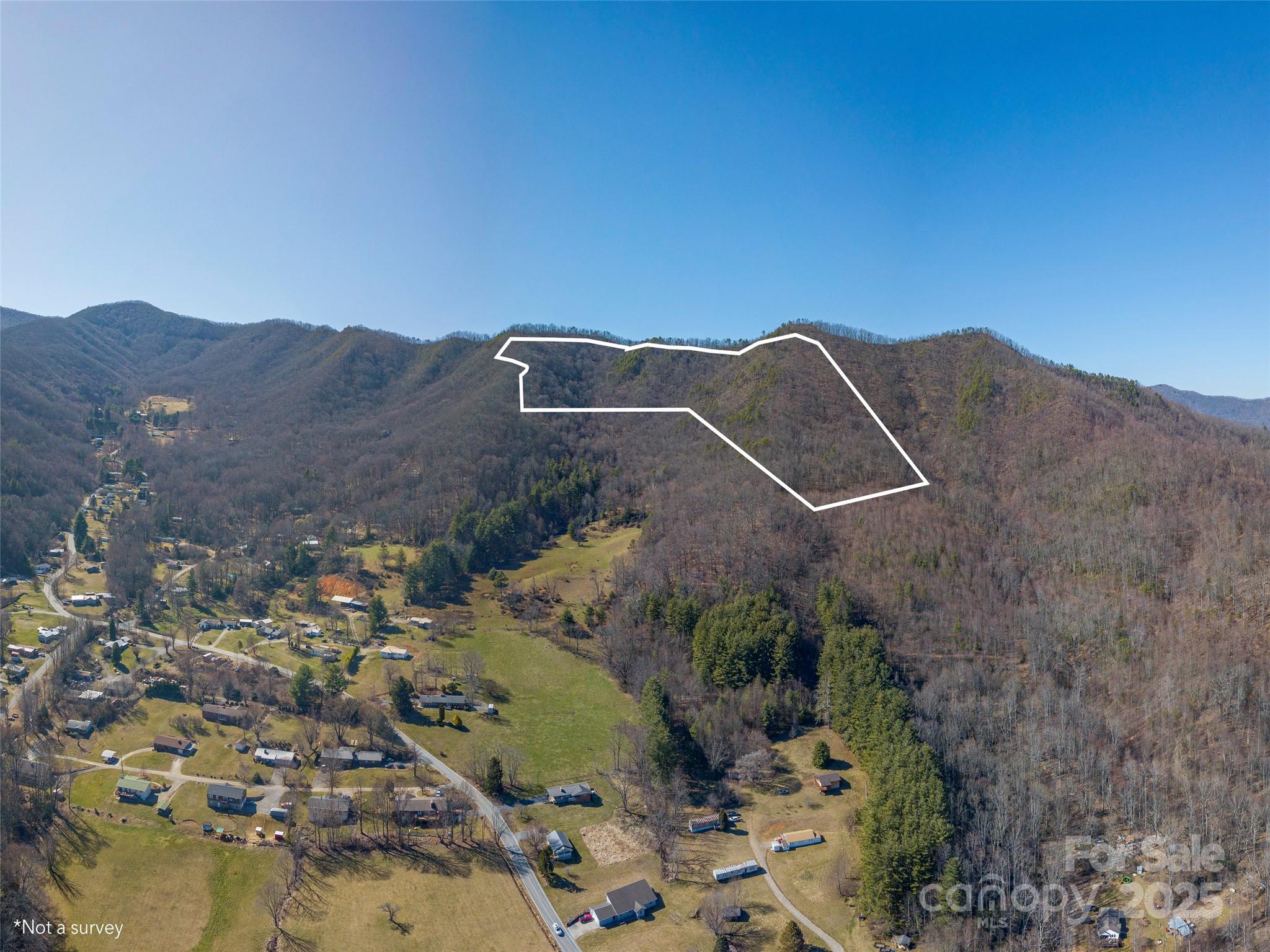 0 Big Cove Road Waynesville, NC 28786 - Photo 2 of 4