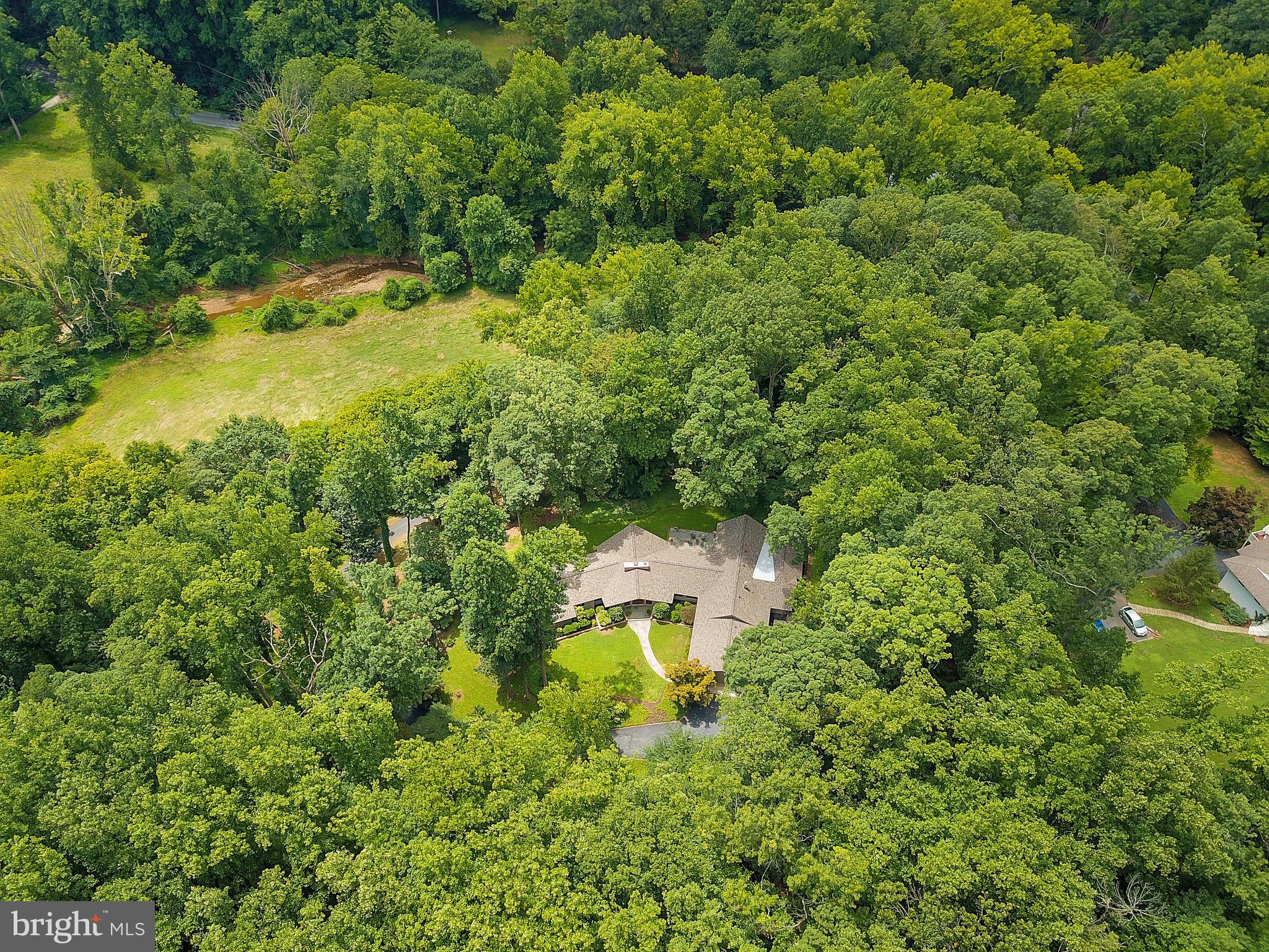 10420 Glen Road Potomac, MD 20854 - Photo 52 of 54 a view of a yard with plants and large trees