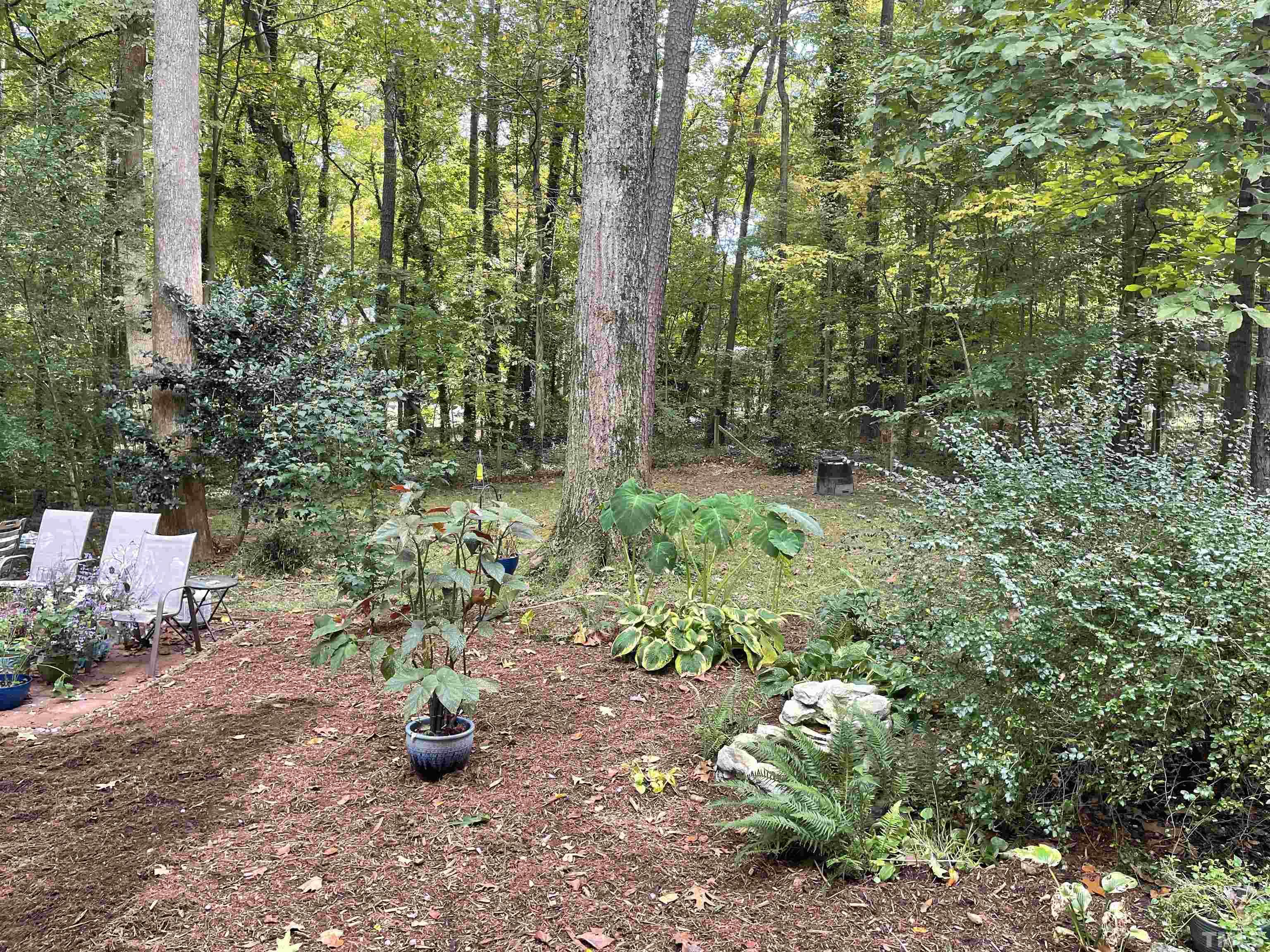 9616 Rock Creek Road Raleigh, NC 27613 - Photo 4 of 28 a view of a garden with plants