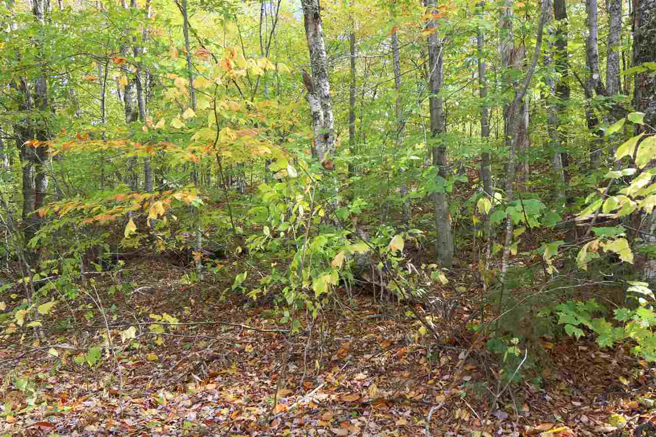 Rist Hill Road Proctorsville, VT 05153 - Photo 6 of 9