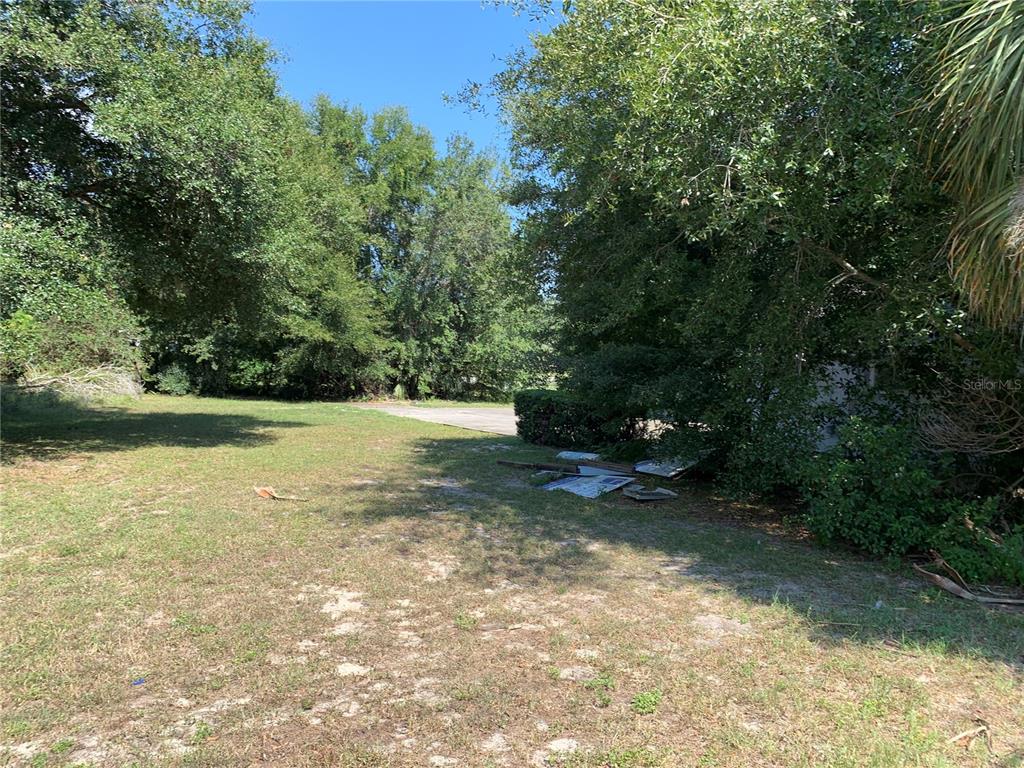 1024 West Dixie Avenue Leesburg, FL 34748 - Photo 11 of 11 a view of a yard with a tree