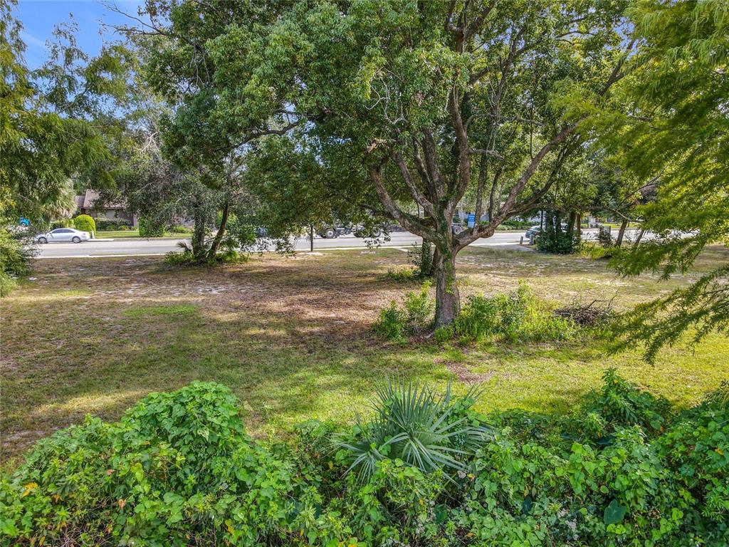1024 West Dixie Avenue Leesburg, FL 34748 - Photo 14 of 23 a view of a yard with a tree