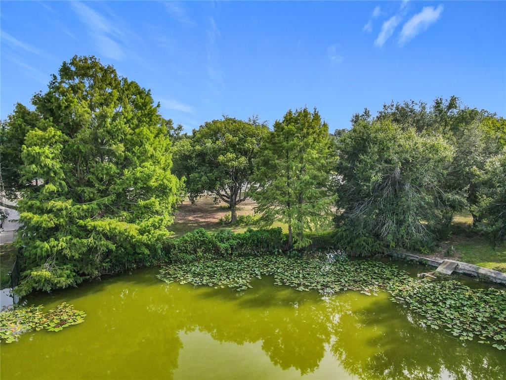 1024 West Dixie Avenue Leesburg, FL 34748 - Photo 15 of 23 a view of a lake with houses in the background