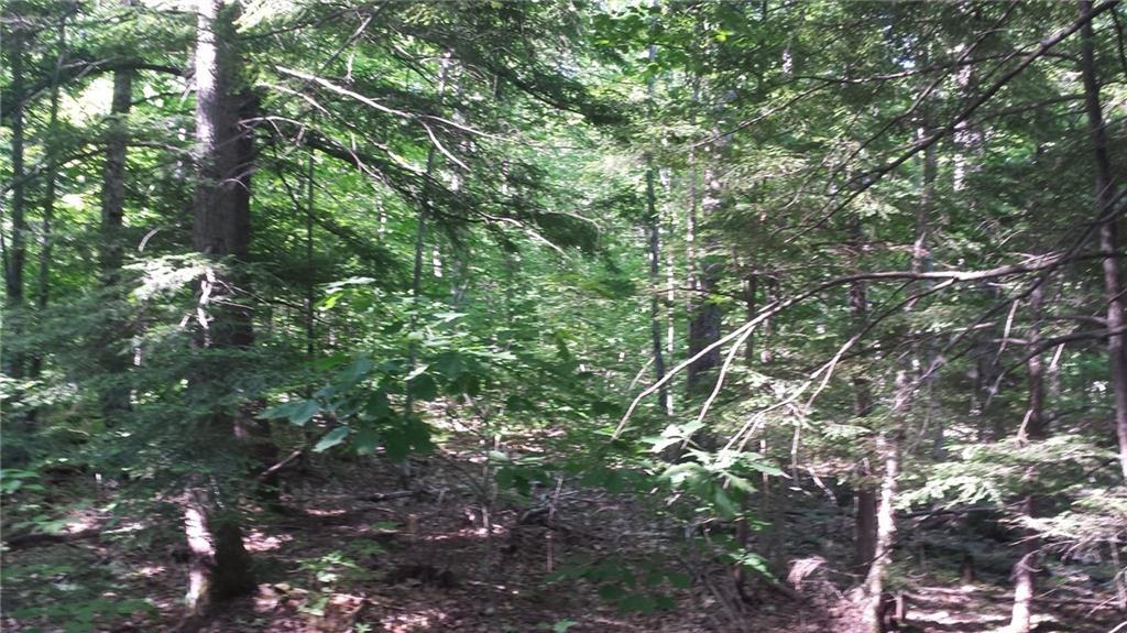 0 Sodom Road Buckfield, ME 04220 - Photo 13 of 27 Photo