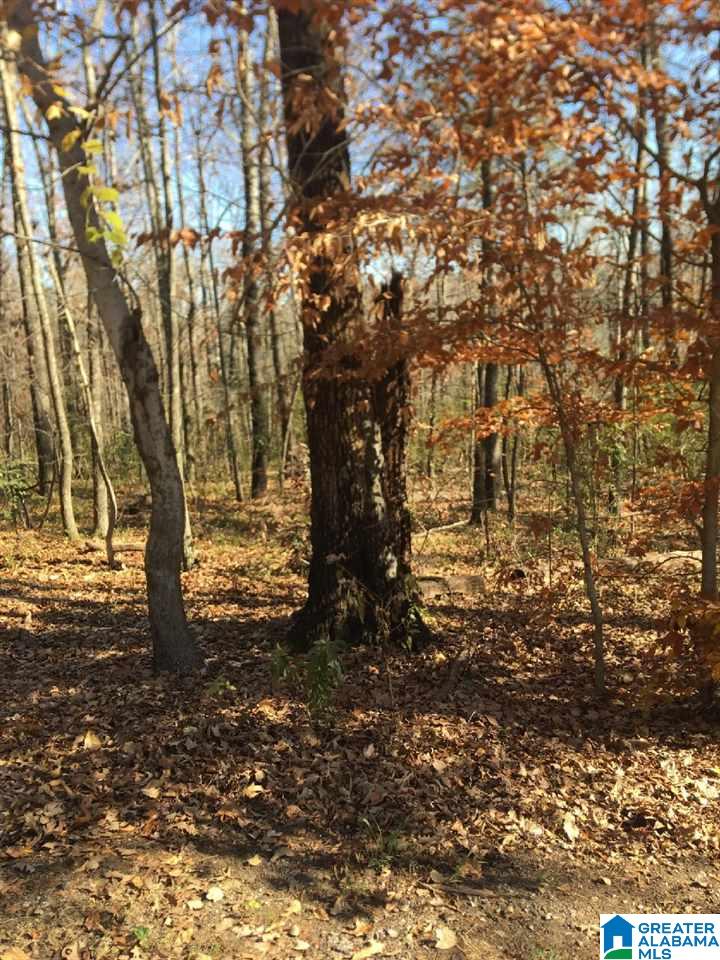 2175 Wayne Road, Unit 1 Birmingham, AL 35210 - Photo 2 of 5