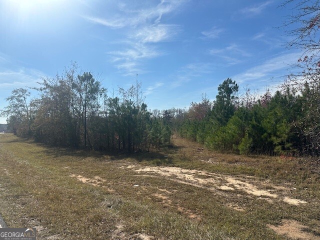 Lot 7 Liberty Hill Road Milner, GA 30204 - Photo 1 of 1 Gallery Image 1
