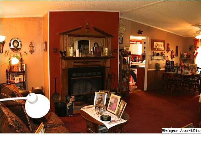 335 Cove Shocco Road Talladega, AL 35160 - Photo 18 of 24