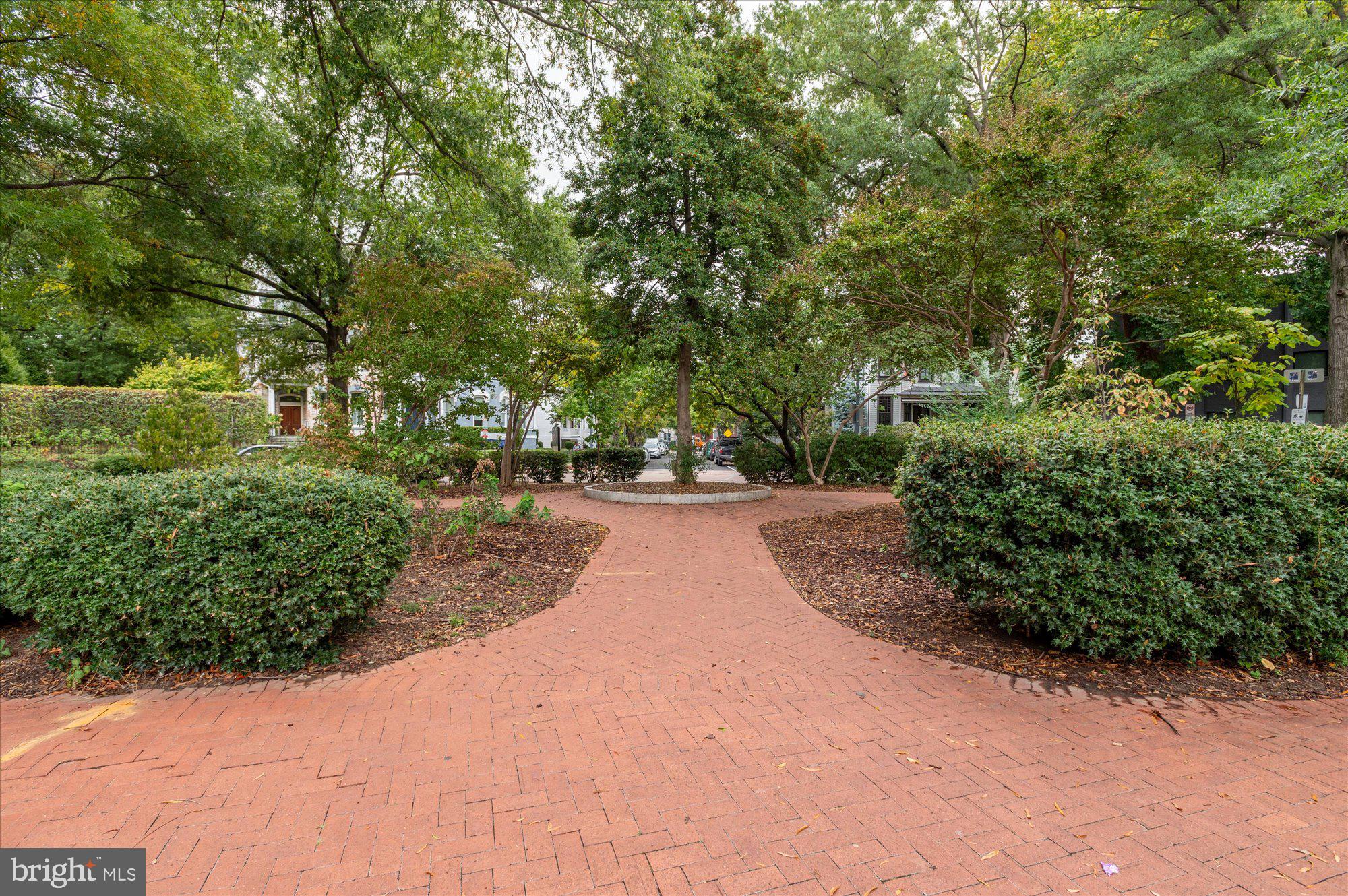 323 T Street Northwest Washington, DC 20001 - Photo 33 of 35 a view of path along with trees