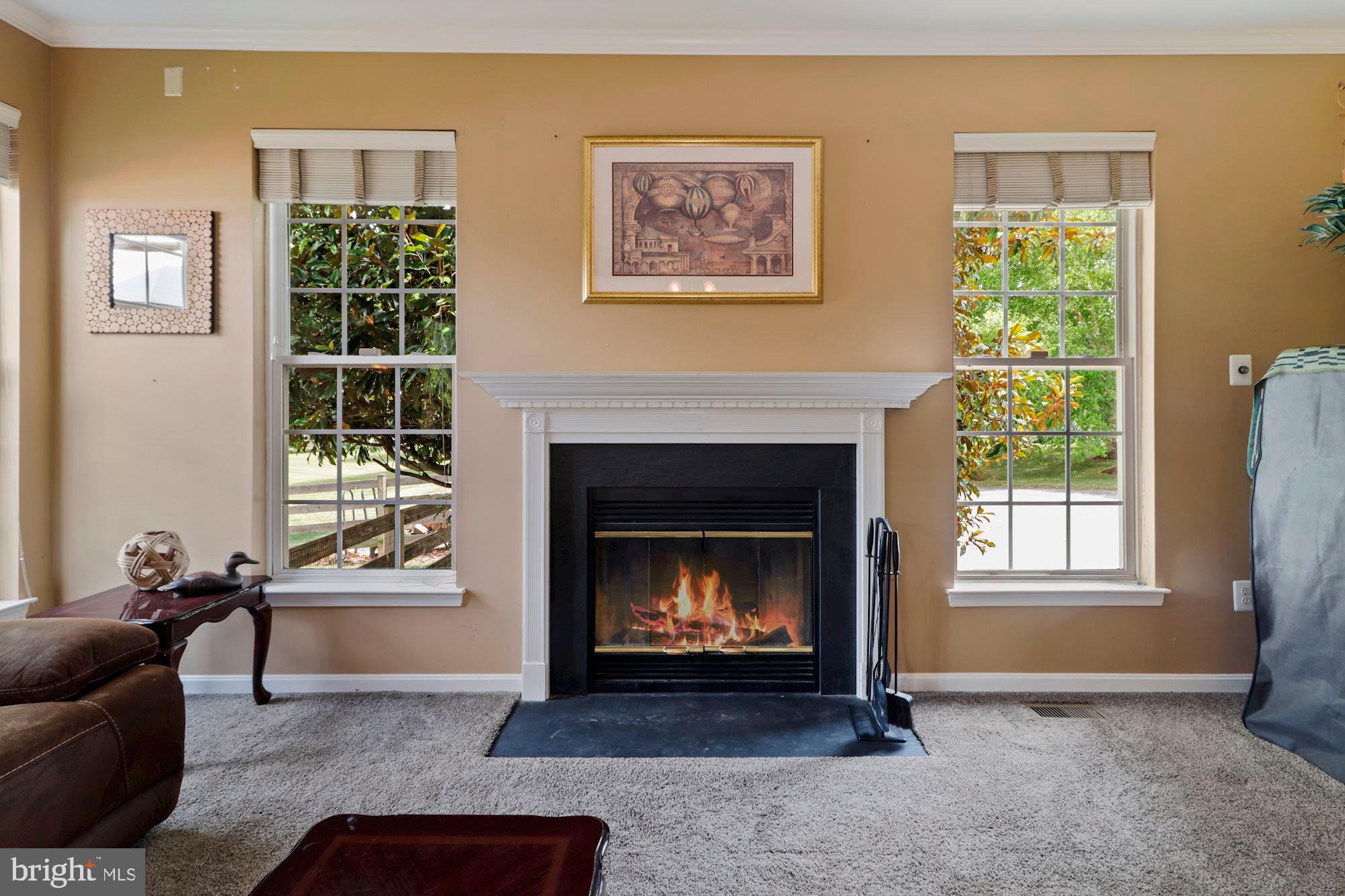 17290 Old Frederick Road Mount Airy, MD 21771 - Photo 30 of 113 Gallery Image 30