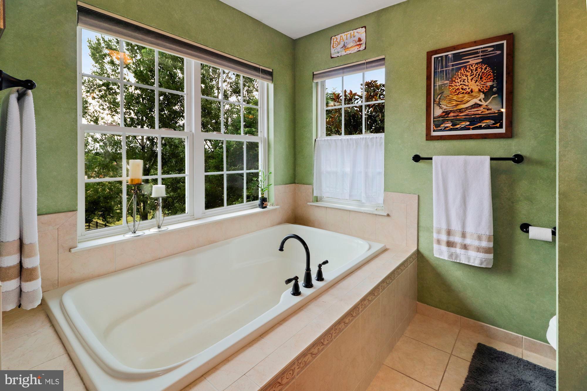 17290 Old Frederick Road Mount Airy, MD 21771 - Photo 40 of 113 Gallery Image 40