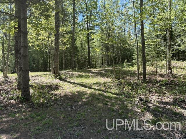 N8640 East End Road Ironwood, MI 49938 - Photo 6 of 10