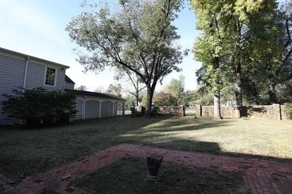 a view of a yard with plants and trees