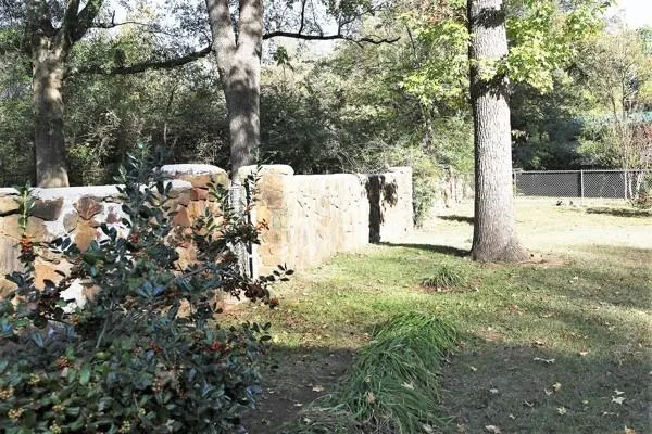 a view of a yard with plants