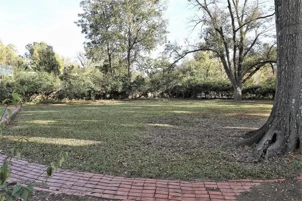a view of a field with trees in background
