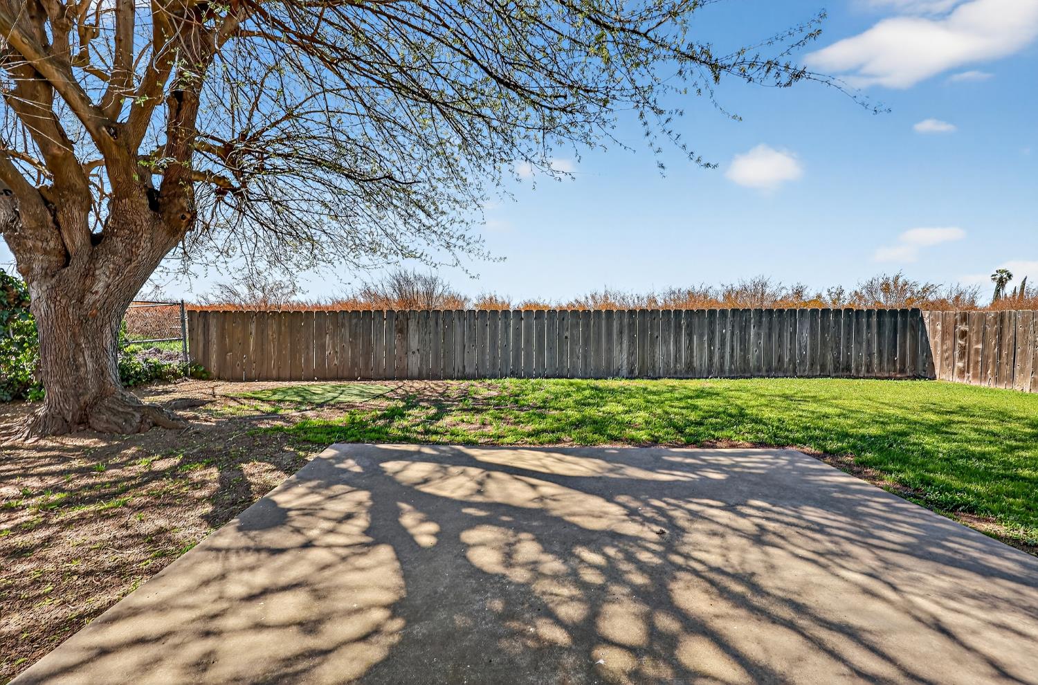 2915 Balsam Way Merced, CA 95348 - Photo 31 of 40 a view of a backyard with large tree and wooden fence