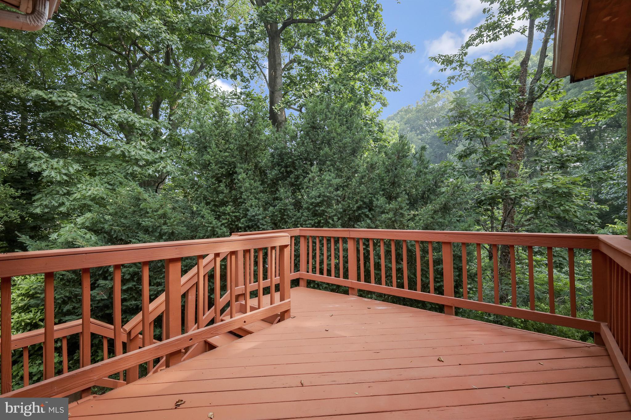5512 Brookland Road Alexandria, VA 22310 - Photo 2 of 34 rear deck overlooking woods, so quiet