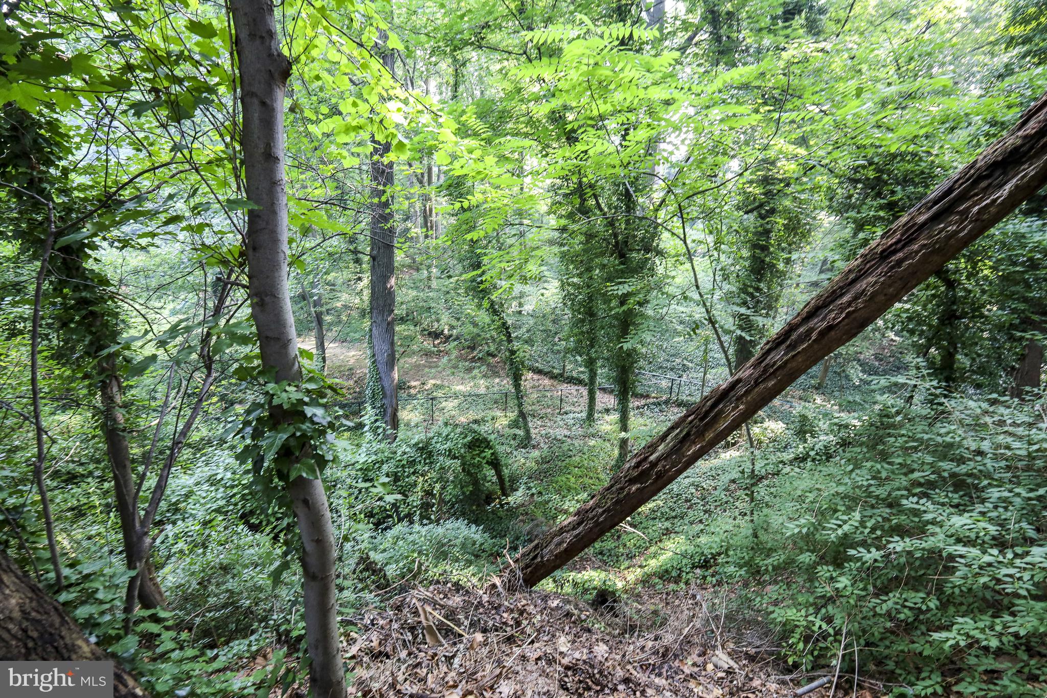 5512 Brookland Road Alexandria, VA 22310 - Photo 4 of 34 recharge your batteries w/ these rear yard views!