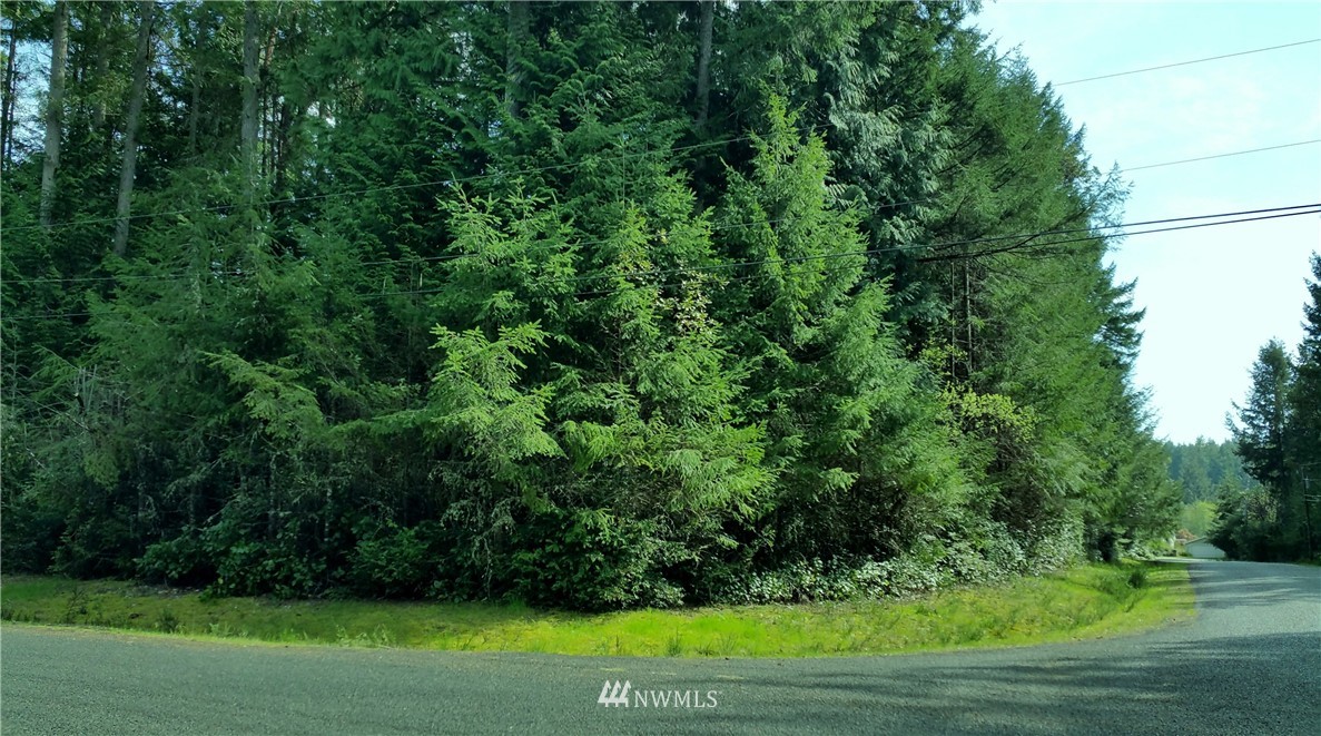 9005 Johnson Road, Unit AI Anderson Island, WA 98303 - Photo 1 of 4