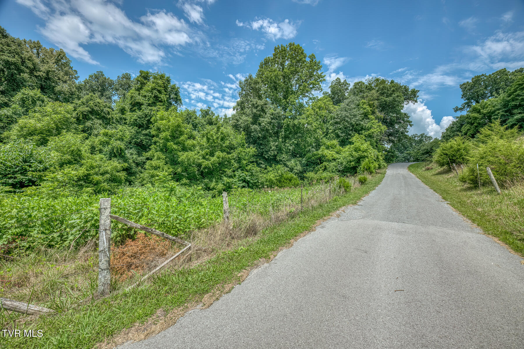 2083 Bundren Mountain Road Tazewell, TN 37879 - Photo 26 of 42 2083 Bundren Mountain Rd-25
