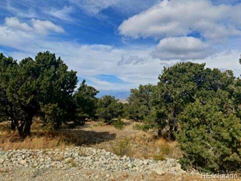 0 Mill Run Mosca, CO 81146 - Photo 2 of 8 a view of a yard