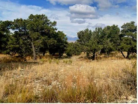 a view of a yard