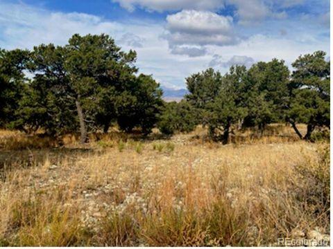0 Mill Run Mosca, CO 81146 - Photo 4 of 8 a view of a yard