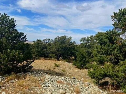 a view of a yard with trees