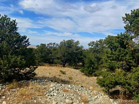 0 Mill Run Mosca, CO 81146 - Photo 5 of 8 a view of a yard with trees