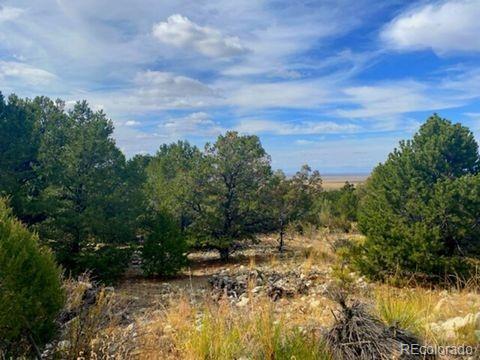0 Mill Run Mosca, CO 81146 - Photo 7 of 8 a view of a yard with a tree