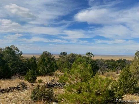 a view of a bunch of trees
