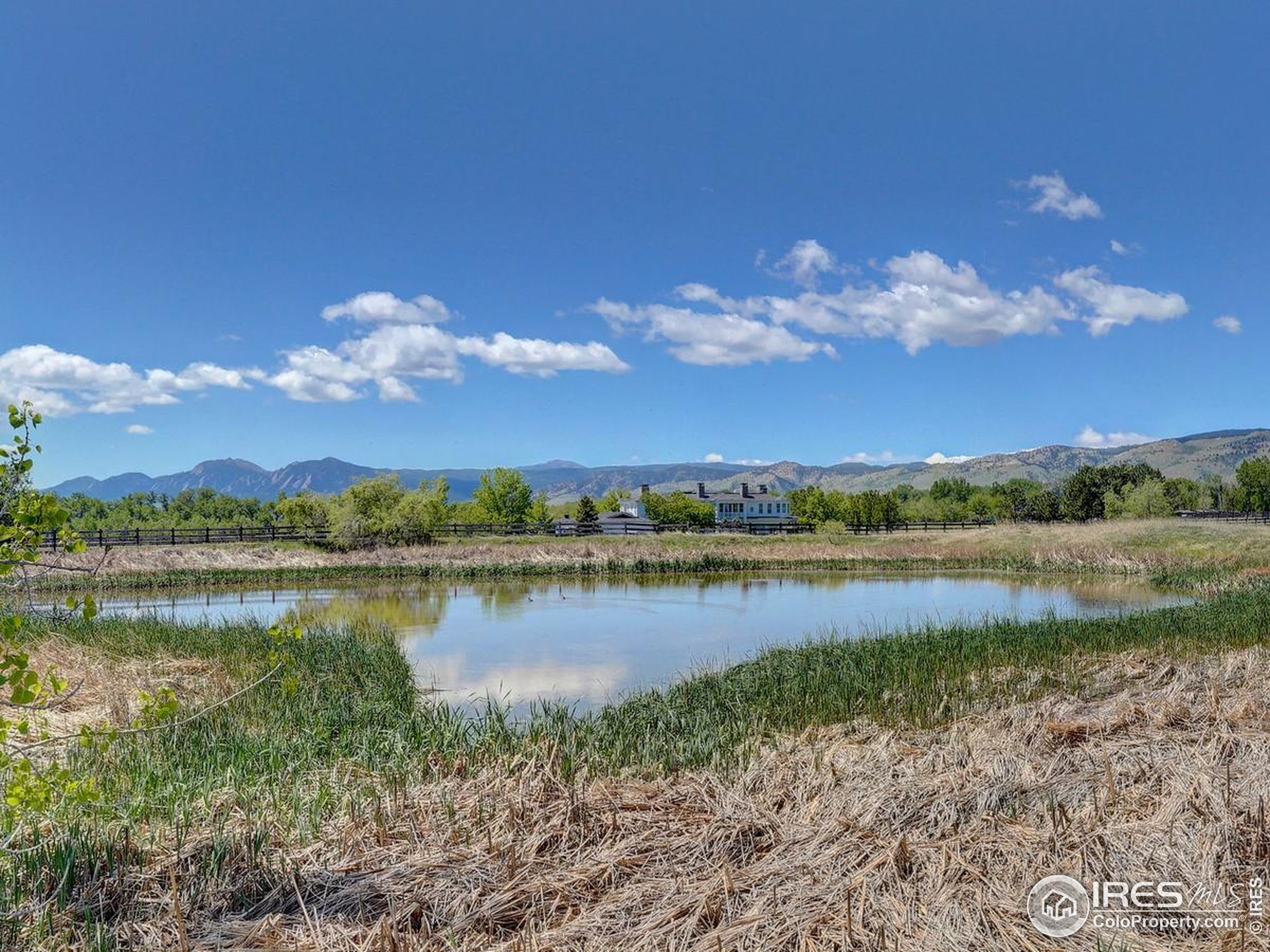 5196 Oxford Road Longmont, CO 80503 - Photo 13 of 38 a view of a lake with houses in the back