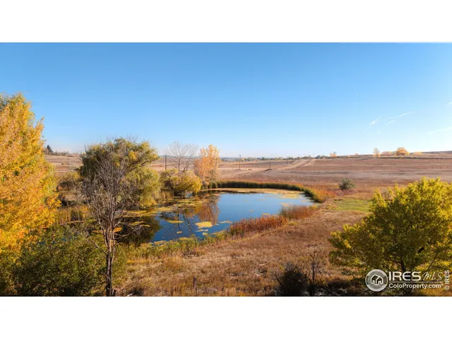 a black and white photo of a field