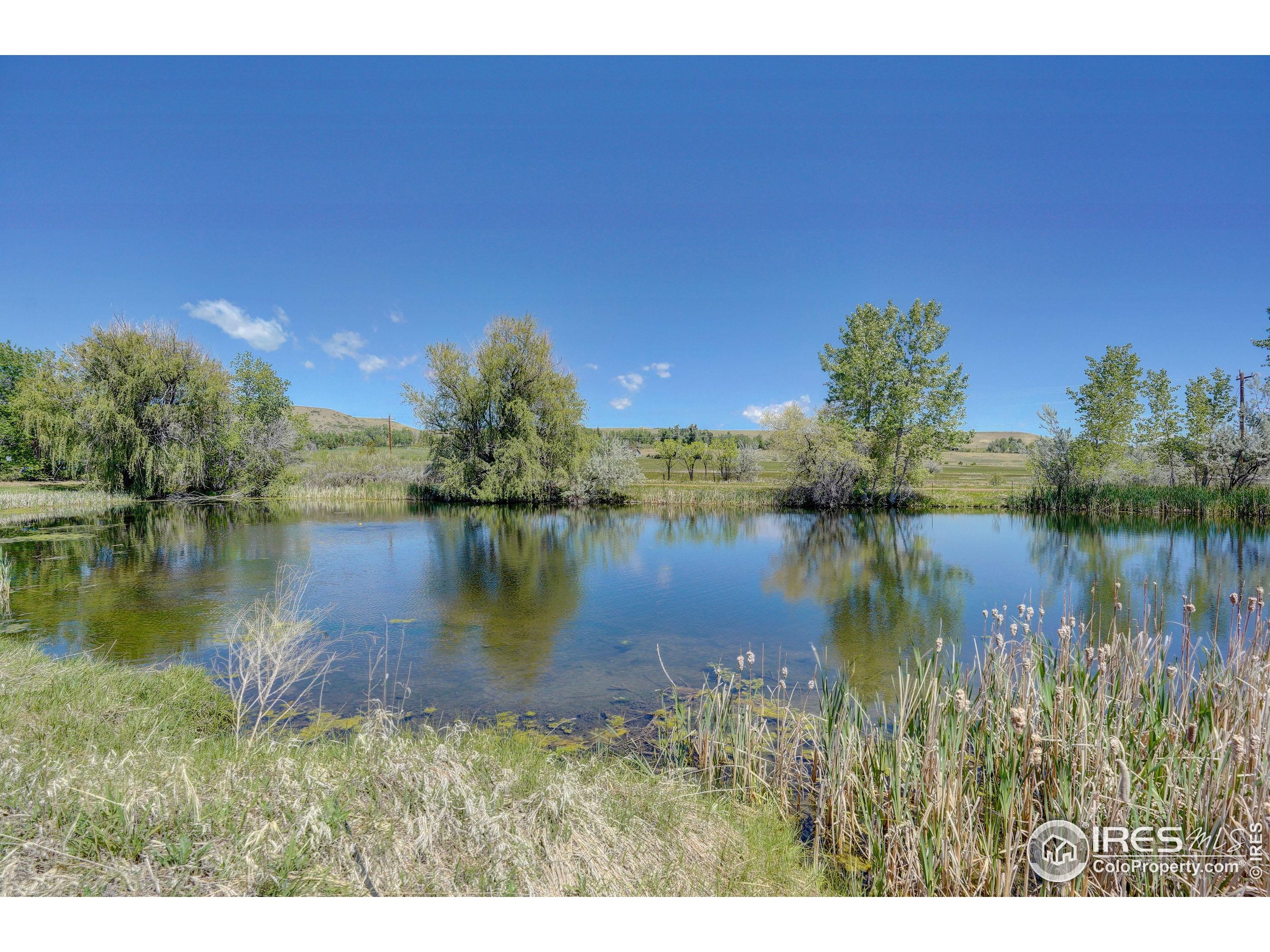 5196 Oxford Road Longmont, CO 80503 - Photo 32 of 38