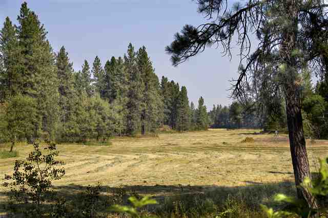 5010 West Cameron Road Cheney, WA 99004 - Photo 11 of 11