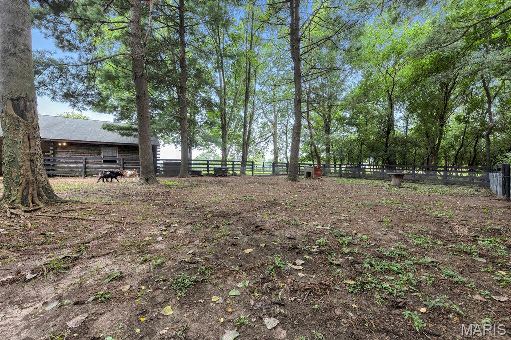 17407 Highway 109 Dow, IL 62022 - Photo 45 of 59