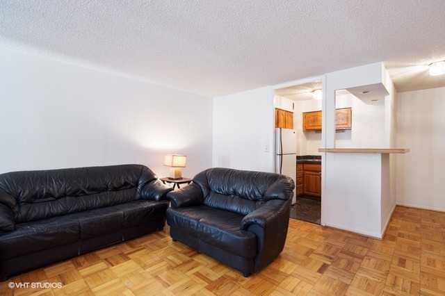 21 West Goethe Street, Unit 4B Chicago, IL 60610 - Photo 3 of 9