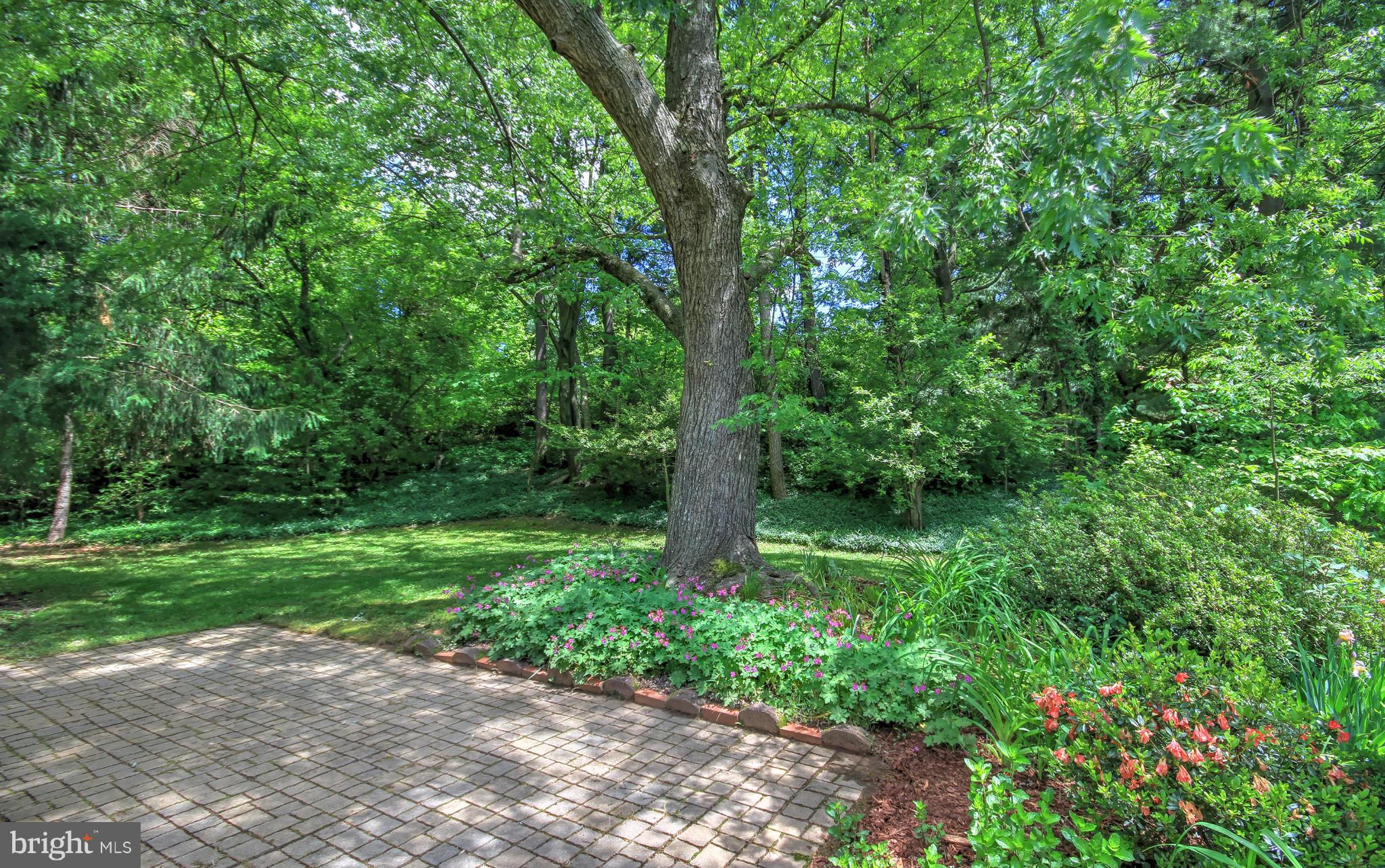 11402 Turnmill Lane Reston, VA 20191 - Photo 21 of 30 Patio and Backyard view