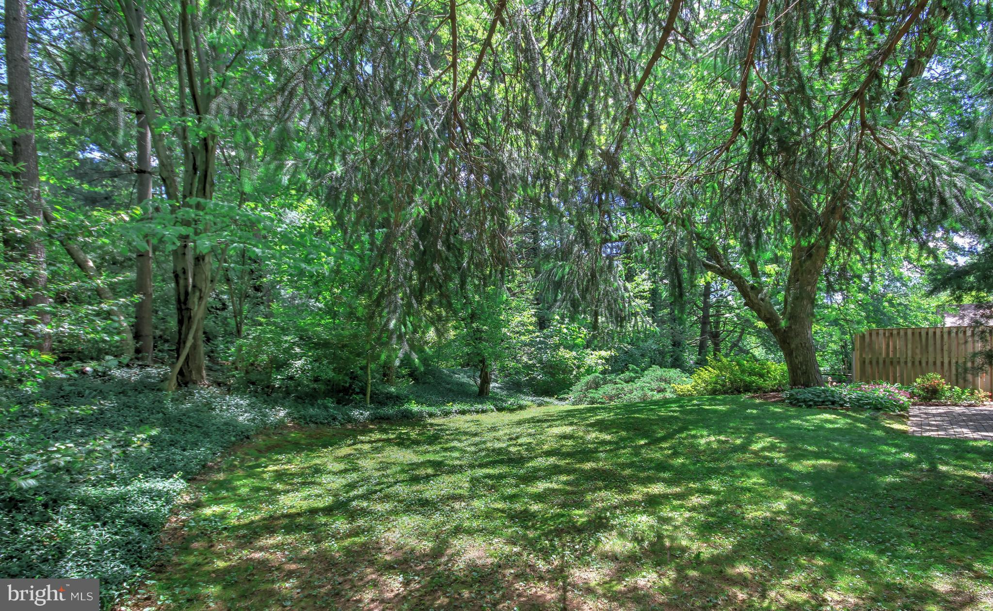 11402 Turnmill Lane Reston, VA 20191 - Photo 22 of 30 Backyard