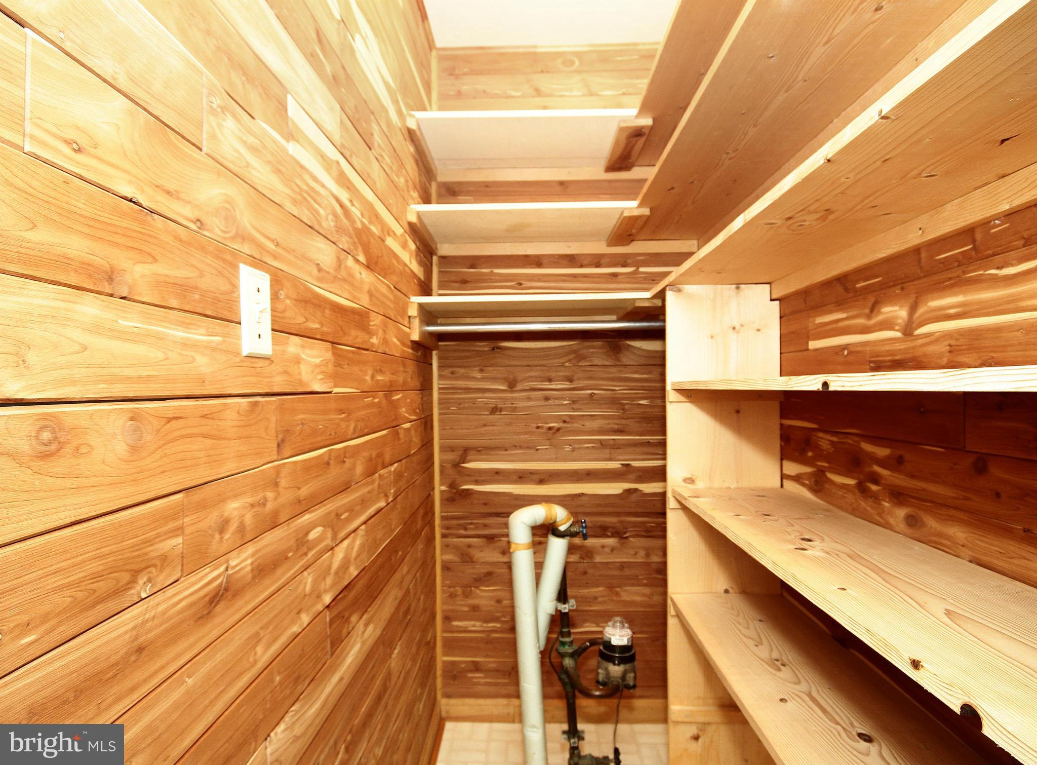 11402 Turnmill Lane Reston, VA 20191 - Photo 9 of 30 Bedroom 2 Cedar Closet