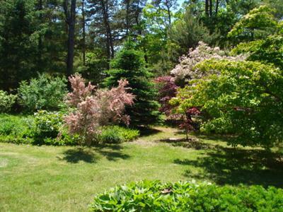 380 Cooks Brook Road Eastham, MA 02642 - Photo 27 of 35 Additional Photo